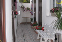 ������ ������ ����-��������� � ��� � ����� � ������ ������. ����� � �����.