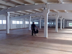 ������������ ������� �������� 8 000 ��.�. ���������� ����� �. �������. ��������� 157 ��.�. �������� 2827 ��.�. �=4�., �������� 2800 ��.�. �=3,50 �., �������� 1511 ��.�. �=3,80 �. ��� ����� 6�6 �., ������ ����� 964 ��.�. ����������� ���������� ����� 4�� ����� �� ����� 9,6��. ������� ������� ,� ��������� ������. ������ �����������, ��������������� ��� �����, ���� ����� ������������� 200 ��� ���������� �� 700 ���., ���������, ������������� ���� 2 050 000 $.